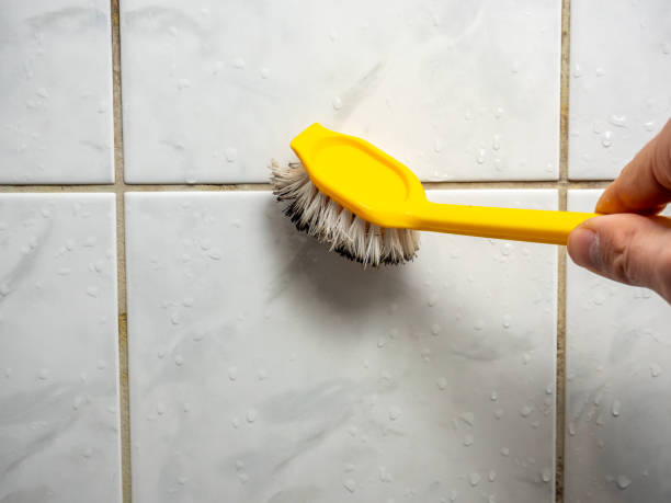 Best Mold Testing  in Brownsville, TN