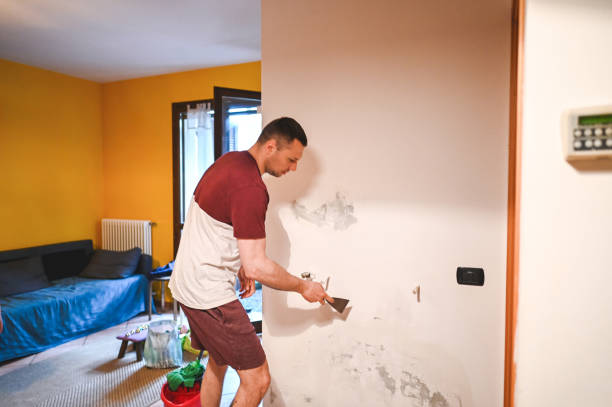 Professional Mold Removal in Brownsville, TN